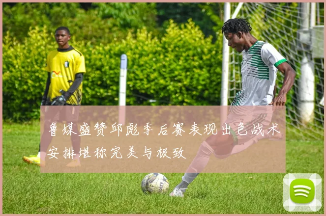 鲁媒盛赞邱彪季后赛表现出色战术安排堪称完美与极致